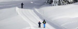 winter;portes-du-soleil;mountain;switzerland